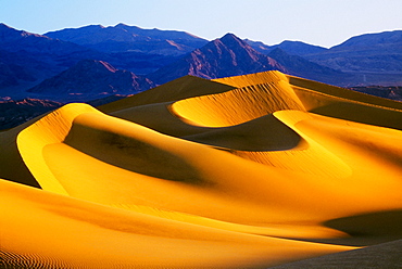 Sand Dunes, Death Valley National Park, California, Usa