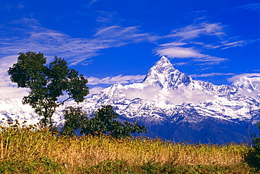 View Of Machhapuchhare From Sarangkot, Annapurna Region, Nepal