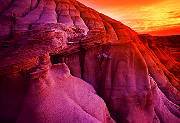 Weathered Sandstone Formations, Red Deer River Valley Near Drumheller, Alberta, Canada