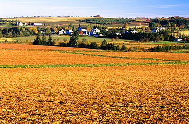 Small Town And Field, Hampton, Prince Edward Island, Canada