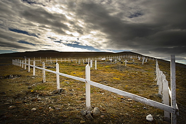 Fence In A Field