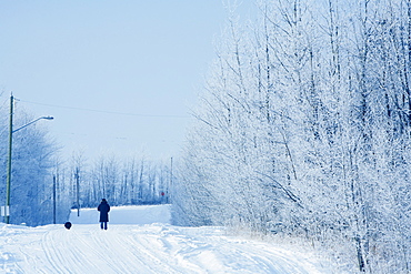 Person Walking Their Dog