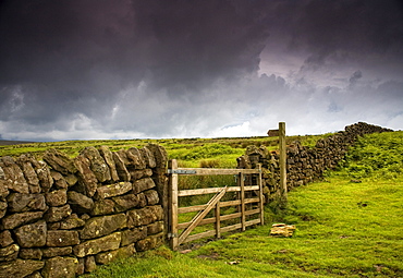 Stone Fence, Yorkshire, England