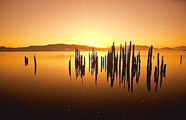 Tillamook Bay At Sunrise, Oregon, Usa