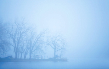 Lake And Trees In Mist