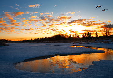 Lake At Sunset, Alberta, Canada