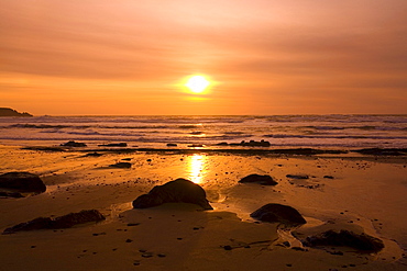 Sunset Reflection Along Coastline, Oregon, Usa