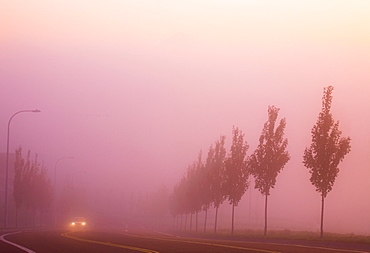 Car On Rural Highway In Fog, Happy Valley, Oregon, Usa