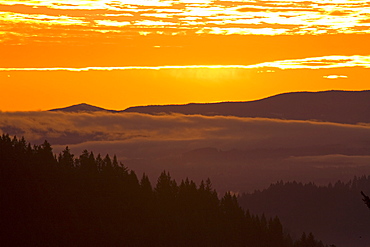 Sunrise, Willamette Valley, Oregon, United States Of America