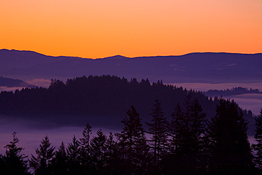 Sunrise As Seen From Mount Scott, Willamette Valley, Oregon, United States Of America