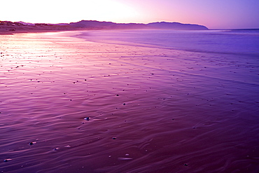 Low Tide At Cape Kiwanda, Oregon, United States Of America