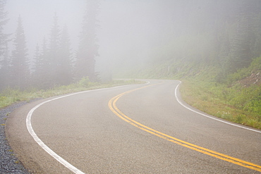 Foggy Road, Mount Rainier National Park, Washington, Usa