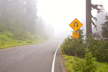 Foggy Road, Mount Rainier National Park, Washington, Usa