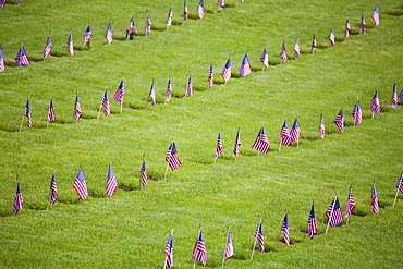 American Flags On Soldiers' Graves