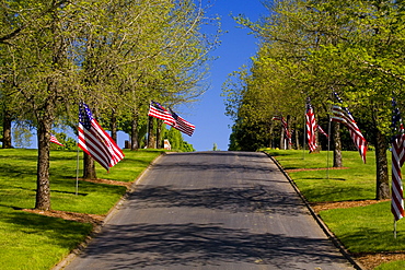 American Flags Along A Road In Oregon, Usa