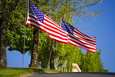 American Flags Along A Road In Oregon, Usa