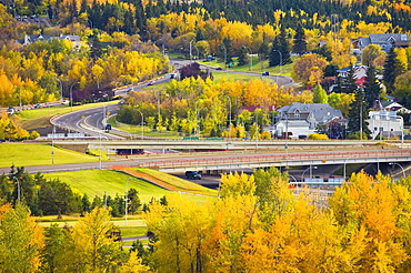 Autumn, Edmonton, Alberta, Canada