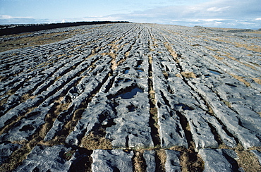 Limestone Pavements, Inishmaan, Aran Islands, Co Galway, Ireland