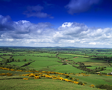 High Angle View Of Farmland Near Derravaragh, Co Westmeath, Ireland