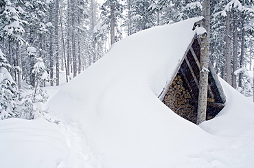 Snow-Covered Wood Shed, Wallawa Mountains, Oregon, Usa