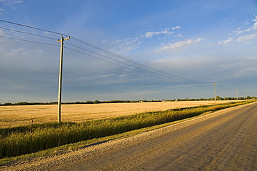 Country Road, Manitoba, Canada