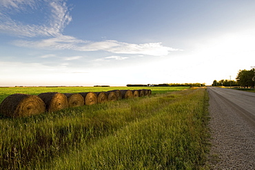 Hay Bales Along A Road, Manitoba, Canada