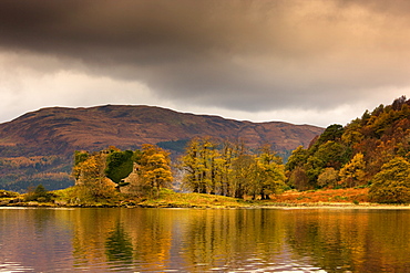 Shoreline With Fall Colors, Argyll And Bute, Scotland