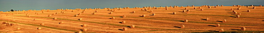 County Cork, Ireland, Hay Bales After The Harvest Near Mallow