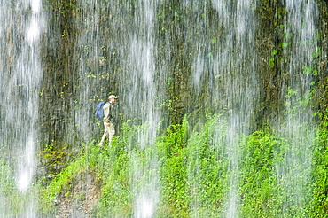 Middle North Falls, Silver Falls State Park, Oregon, Usa, Hiker