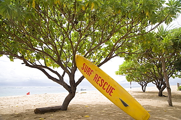 Surf Rescue Surfboard On The Sand