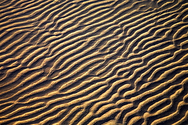 Zanzibar, Tanzania, Sand Patterns