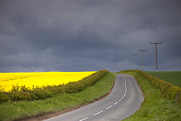 Rural Road, North Yorkshire, England