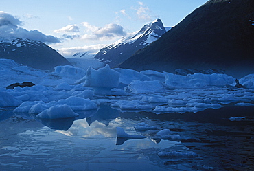 Icebergs, Portage Lake, Portage Glacier, Alaska