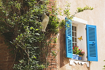 Side Of A Building With Blue Shutters