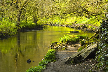 Cressbrook, Derbyshire, England, River Wye In Peak District National Park