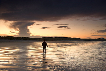 Bamburgh, Northumberland, England, A Person Walking In The Water Along The Shore Of The Beach