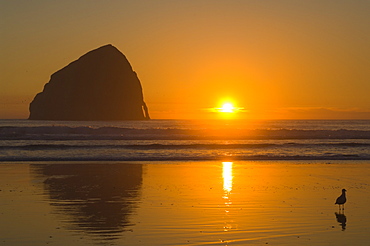 Oregon, United States Of America, Cape Kiwanda And Haystack Rock At Sunset