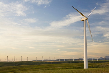 Pincher Creek, Alberta, Canada, Wind Mill Farm