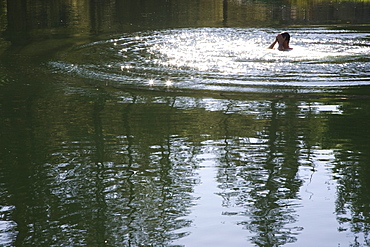 Portland, Oregon, A Person Swimming In A Lake