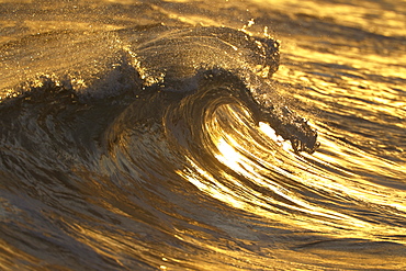 Hawaii, United States Of America, Light From Setting Sun Glistens On Breaking Wave