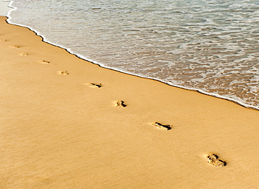 Footprints In The Sand Along The Water's Edge, Cadiz, Spain