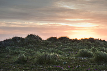 A Sunset At Los Lances Beach In Costa De La Luz, Tarifa, Cadiz, Andalusia, Spain