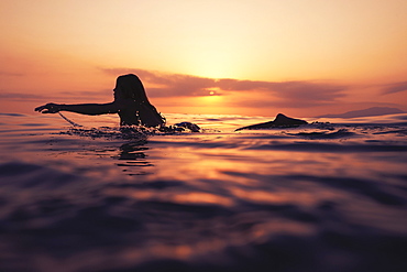 A Woman Paddling On A Surfboard At Sunset, Tarifa, Cadiz, Andalusia, Spain