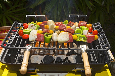 Barbecue Scene, Shish Kabob On The Grill.