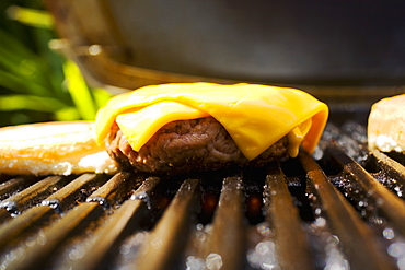 Barbecue Scene, Cheeseburger On The Grill.