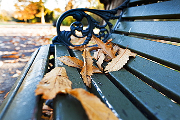 Fallen autumn coloured leaves on a park bench in St. James's Park, London England