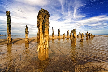 Remnants Of Moorings In Water, Humberside, England