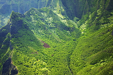 Rugged landscape of mountains covered in trees, Hawaii united states of america