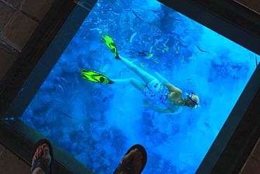 Snorkeler under the glass floor in a room of bora bora nui resort and spa, Bora bora island society islands french polynesia south pacific