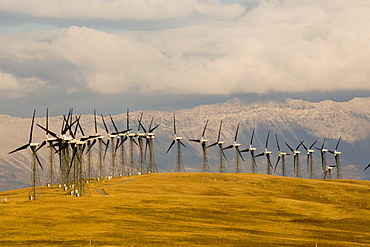 Windmills Used To Generate Electrical Power Near Pincher Creek In Southern Alberta, Canada